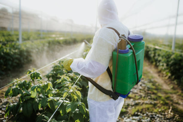 Best Pest Control Near Me  in Claremont, NH